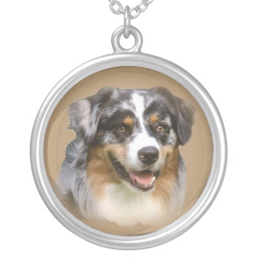 Collar australiano del pastor