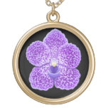 Collar azul de la flor de la orquídea de Vanda
