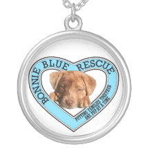 Collar azul del rescate de Bonnie
