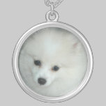 Collar blanco de Pomeranian de la plata esterlina collares