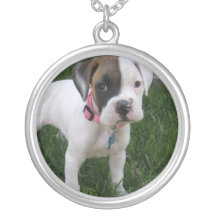 Collar blanco del perrito del boxeador