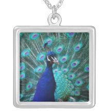 Collar bonito de la plata esterlina del pavo real