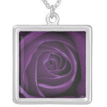Collar color de rosa púrpura