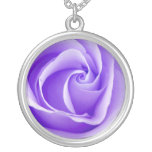 Collar color de rosa púrpura bonito