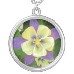 Collar columbine amarillo de la flor