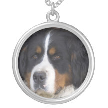 Collar de Berner Sennehund