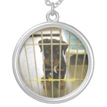 Collar de Foster~Rescue~Adopt