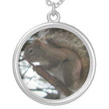 Collar de la ardilla