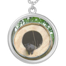 collar de la ardilla del bebé