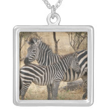 Collar de la cebra de la madre y del bebé