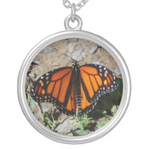 Collar de la foto con la mariposa