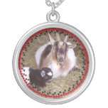 Collar de la foto de su cabra