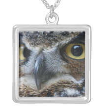 Collar de la foto del búho