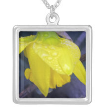 Collar de la lluvia de la mañana