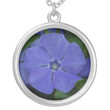 Collar de la plata esterlina del bígaro