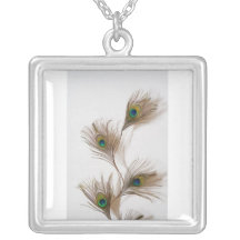 collar de la pluma del pavo real