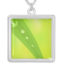Collar de la protección del mundo