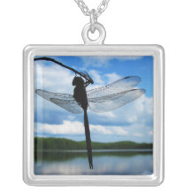 Collar de la silueta de la libélula