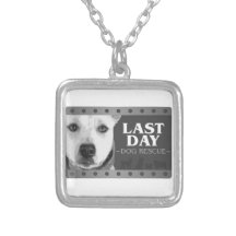 Collar de LDDR