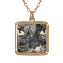 Collar de los ojos de gatos