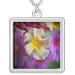 Collar de los placeres simples