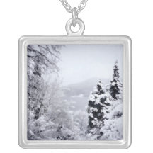 Collar de Nojiri del lago