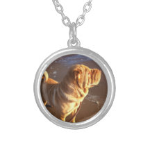 Collar de Shar-pei