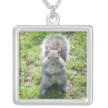 Collar de Sr. Squirrel
