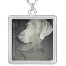 Collar de Weimaraner