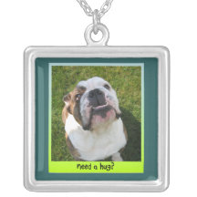 collar del abrazo del perro del toro