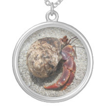 Collar del cangrejo de ermitaño - "apenas un poco 