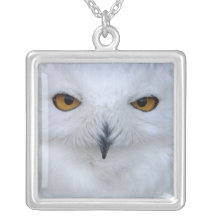 Collar del colgante del búho Nevado