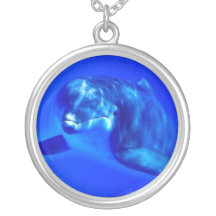 Collar del delfín