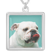 Collar del dogo