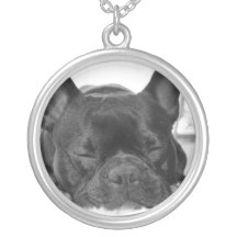 Collar del dogo francés