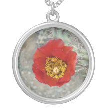 Collar del flor de Cholla