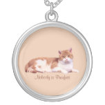Collar del gato