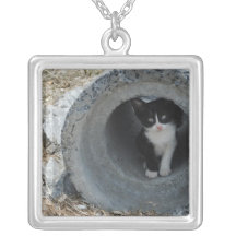 Collar del gato