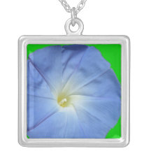 collar del ipomoea