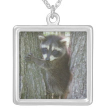Collar del mapache del bebé