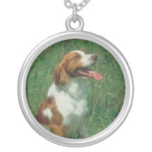 Collar del perro de aguas de Bretaña