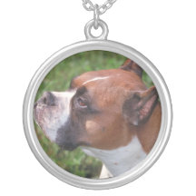 Collar del perro del boxeador