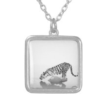collar del tigre