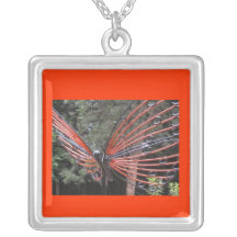 Collar hermoso de la mariposa