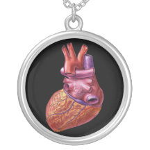 Collar humano del corazón