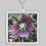 Collar oscuro de la plata del Hellebore collares