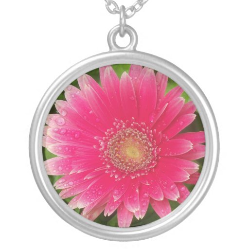 Collar rosado de la flor del pétalo