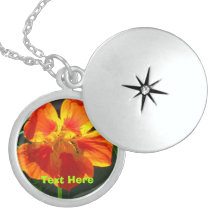 Collares - flor anaranjada de las capuchinas