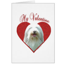 Collie barbudo mi tarjeta del día de San Valentín