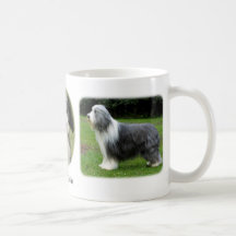 Collie barbudo x 3 tazas de café